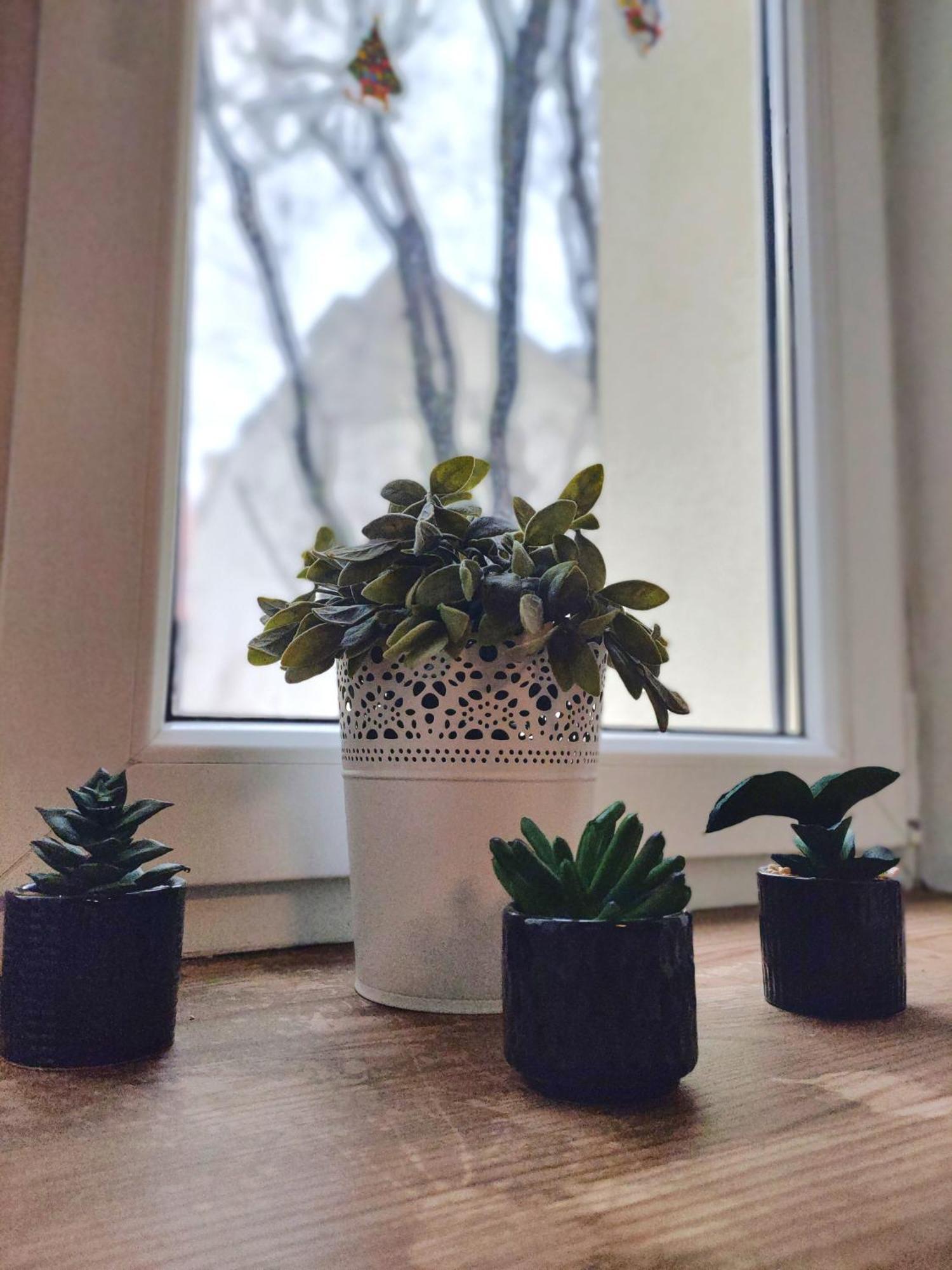 Elpida Apartment 克拉科夫 外观 照片